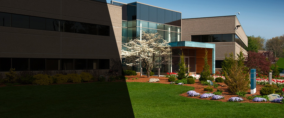 Conshohocken Landscapers
