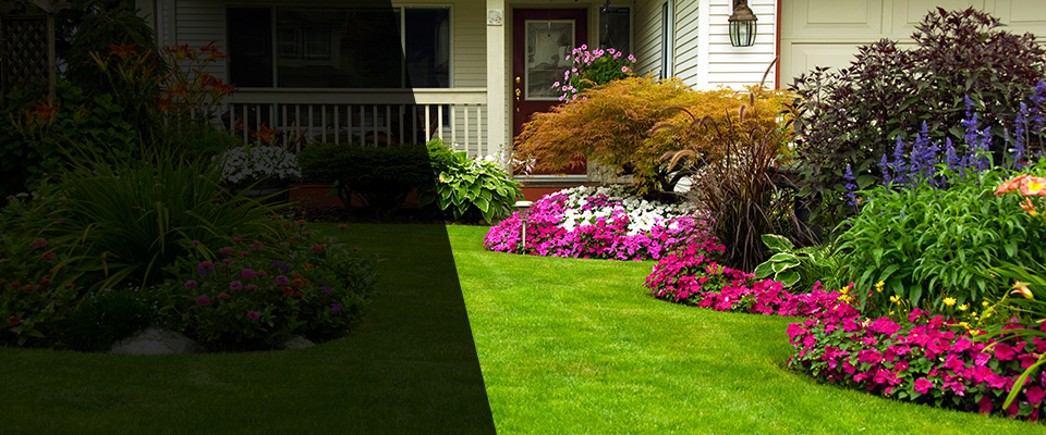 Conshohocken Landscapers