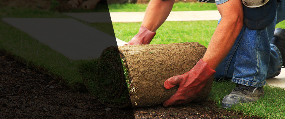 Conshohocken Landscapers